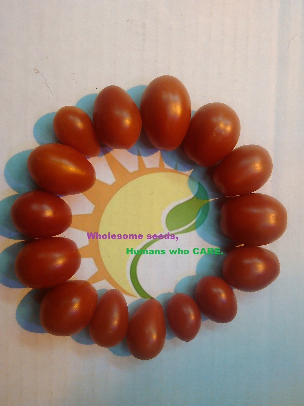 San Marzano tomato RARE! *HEIRLOOM* 20 seeds gallery