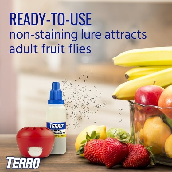 Indoor Fruit Fly Trap, (2-count) , Terro Traps, In Built With Window Sinks... gallery