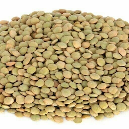 GREEN LENTILS BEANS gallery