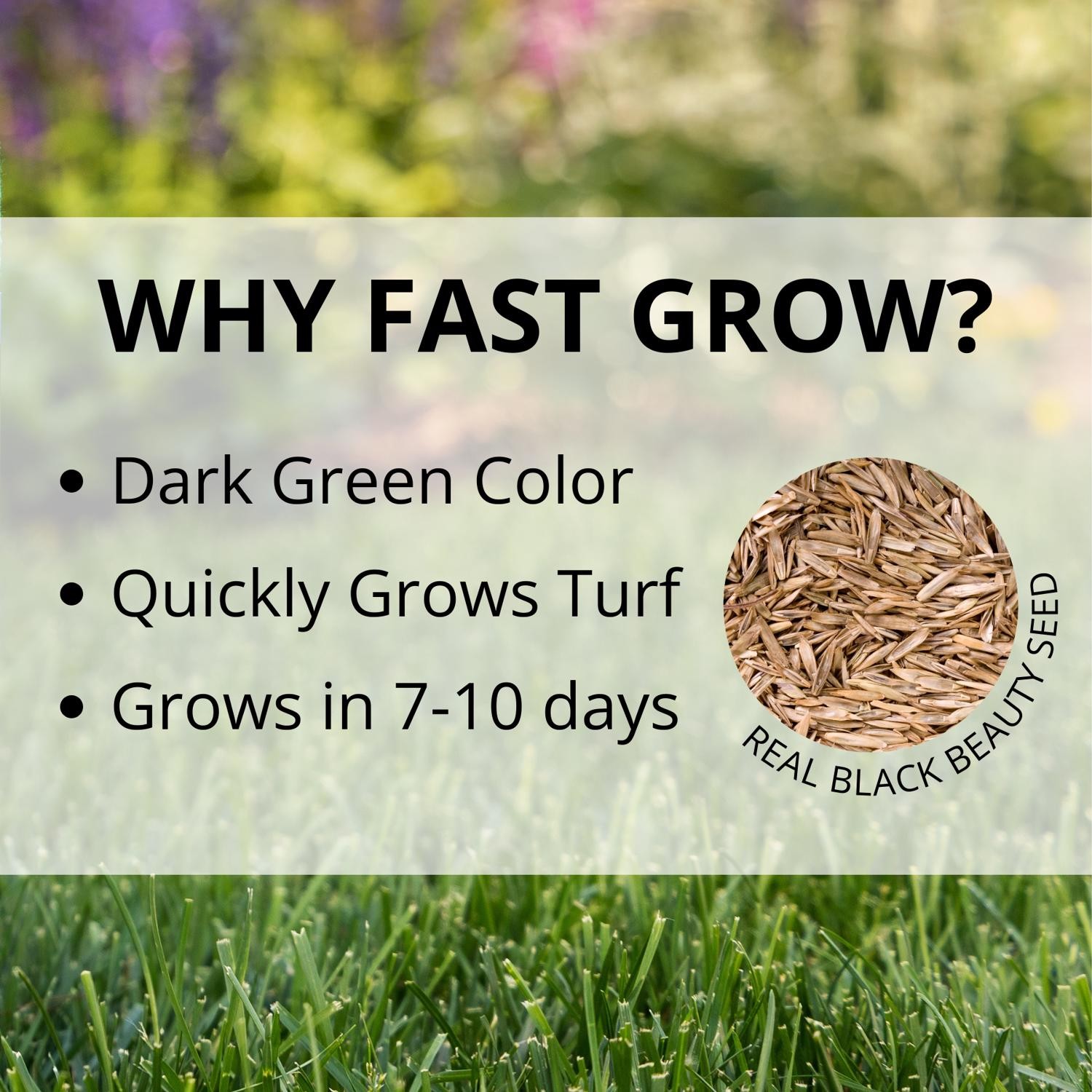 Jonathan Green Fast Grow Mixed Sun or Shade Grass Seed 25 lb gallery