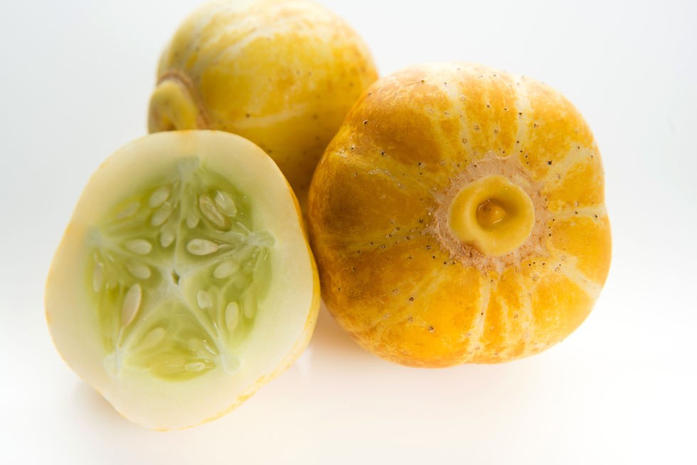 Lemon cucumber, Cucumis sativus You will get 30 Seeds Free Shipping! gallery