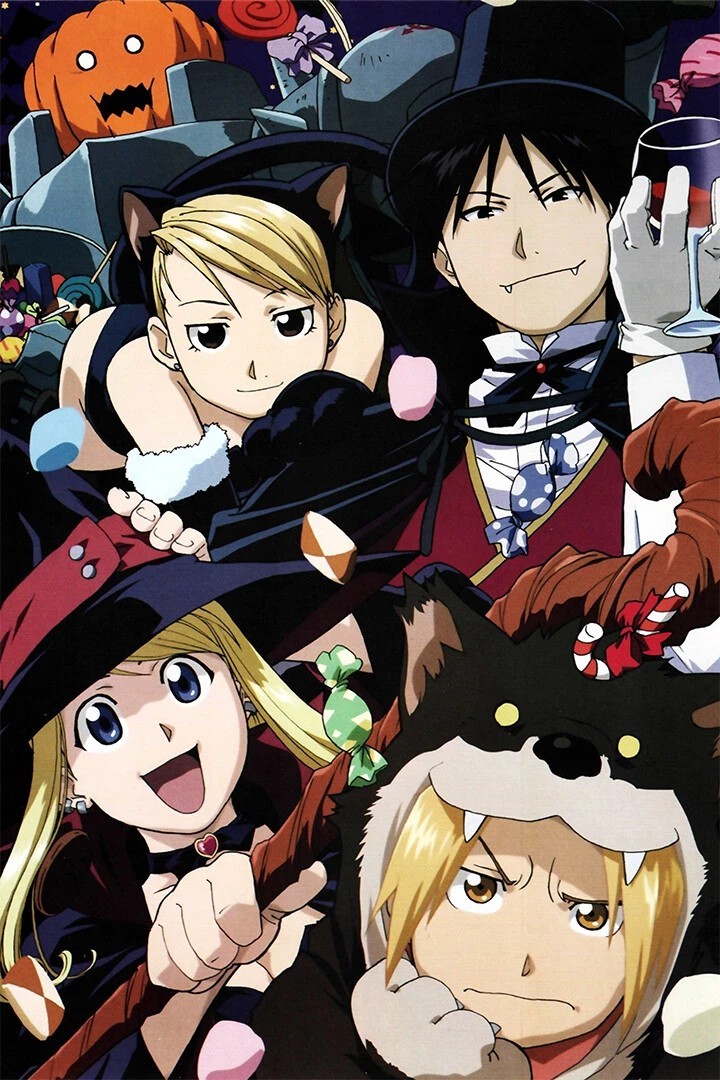 Fullmetal Alchemist Brotherhood Animation Poster print 11"x17" home decor gallery