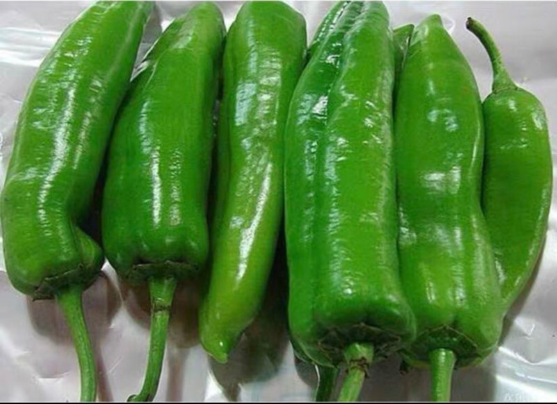 30+ Oriental Horn Hot Pepper Seeds 牛角椒种子2022年新种子 gallery