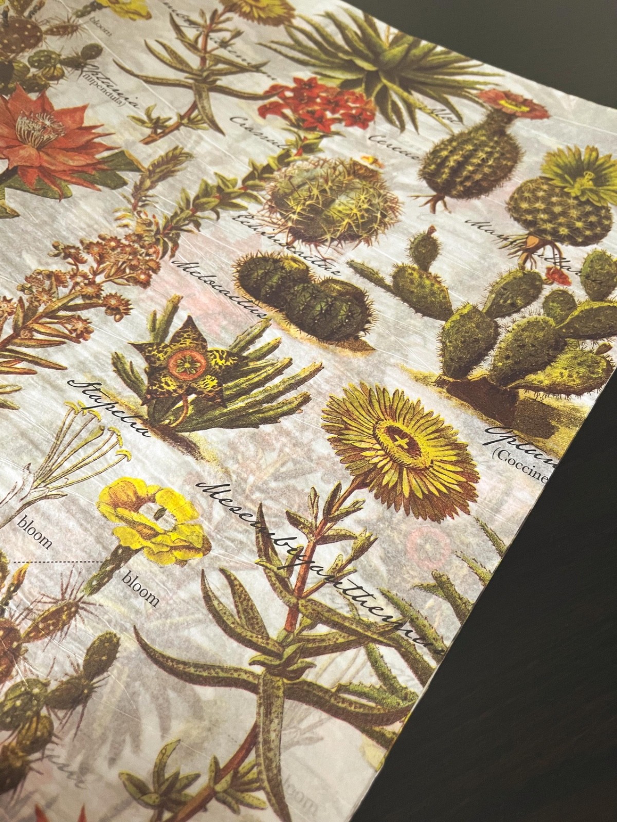 DESERT GARDEN Design Print Tissue Paper Sheets Choose Size & Package Amount gallery