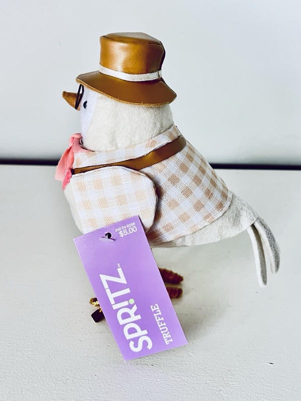 Target Spritz Easter 2024 Spring Featherly Friends Botanist Bird Truffle 🍄 gallery
