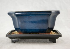 5″ Rectangular Dark Blue Bonsai / Succulent Pot + Tray + Rock + Mesh Combo