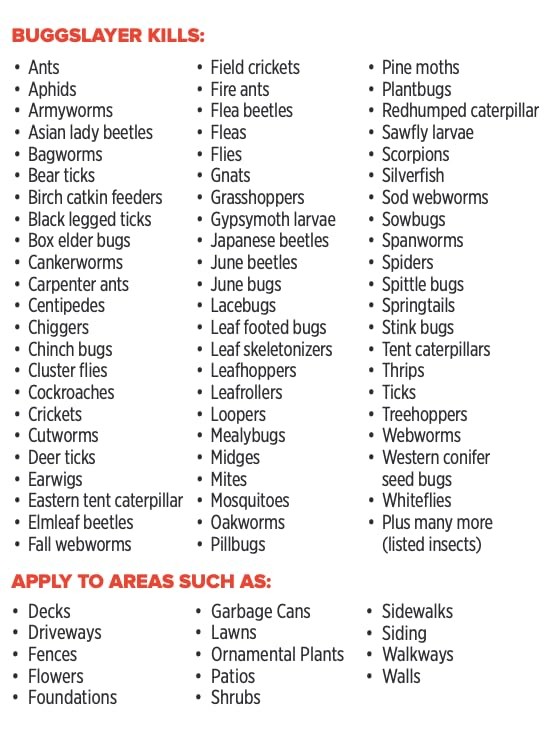 - Concentrate - Outdoor Box Elder Bugs, Stink Bugs, Asian Lady - 16 oz Bottle gallery