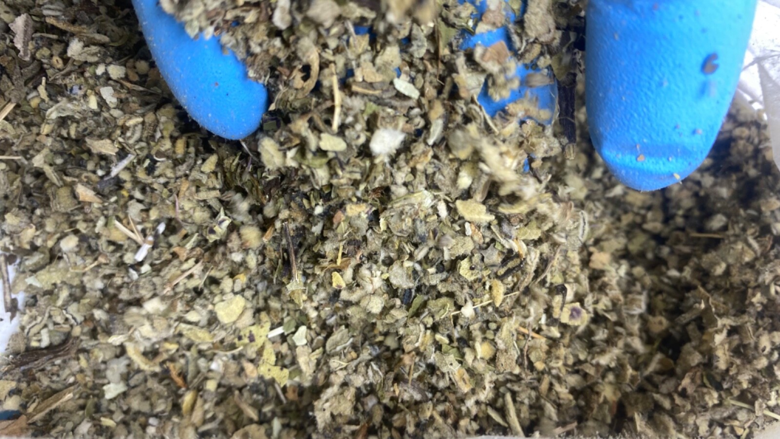 lobelia coltsfoot peppermint mullein organic wild crafted herb mix - 1 2 4 oz gallery