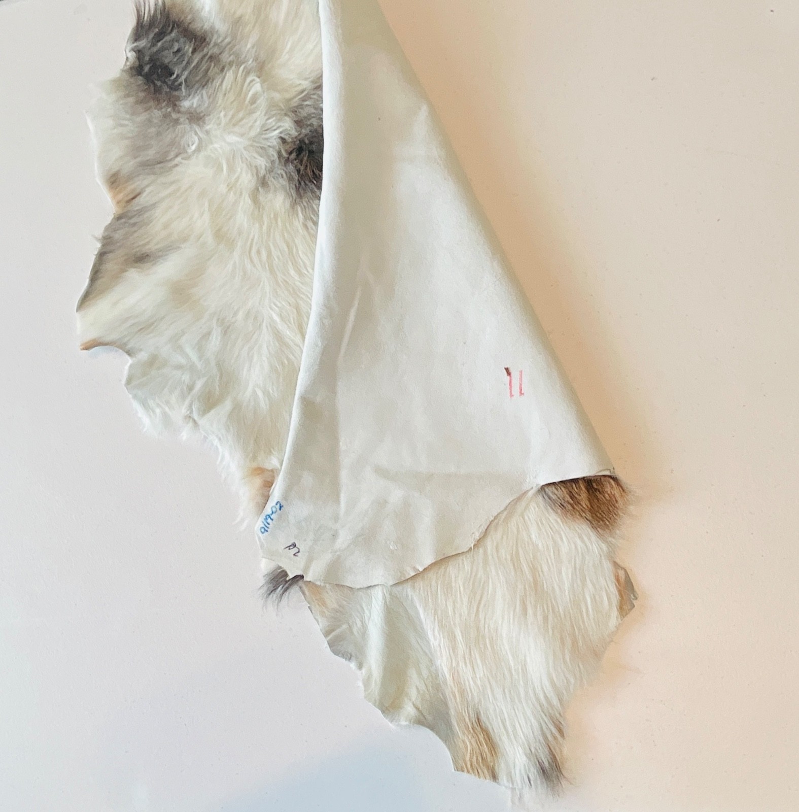 Genuine Leather Goat Pelt Hide Rug White with tan & brown spots 24”x21” gallery