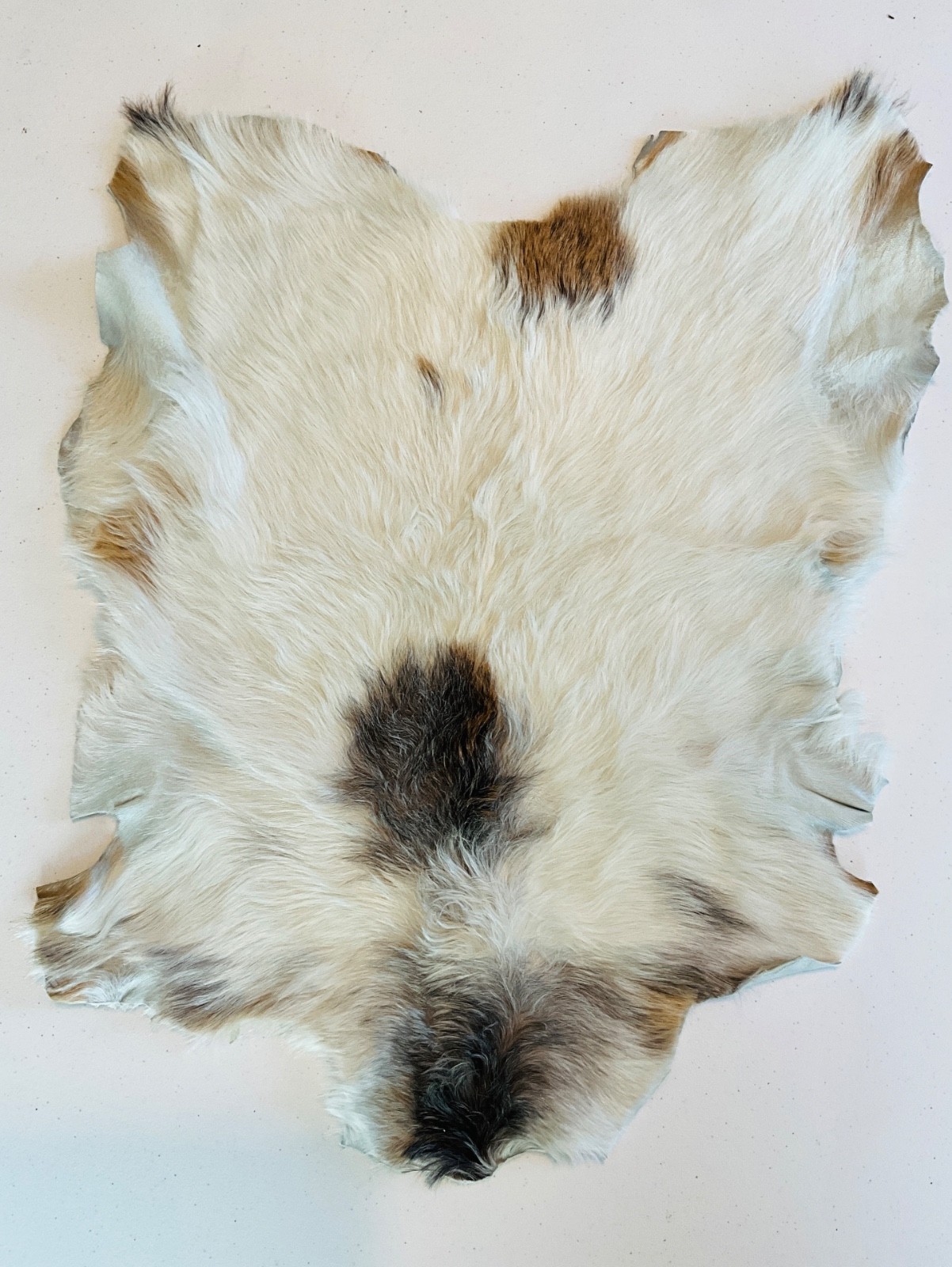 Genuine Leather Goat Pelt Hide Rug White with tan & brown spots 24”x21” gallery