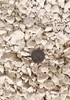 Crushed Limestone Rock Chips, Calcium, 5 Lbs Succulents, Bonsai, Terrariums gallery