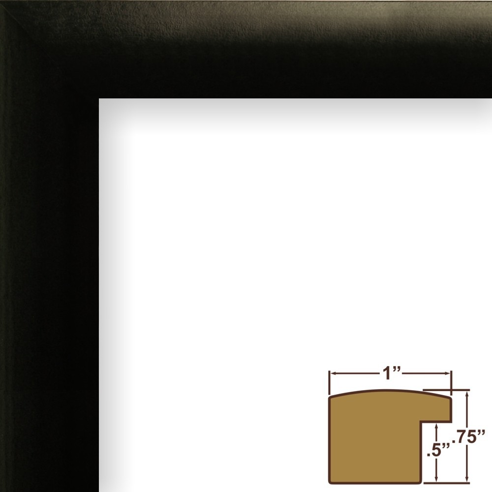 Craig Frames, 4-CD Display Mat Complete with 1" Wide Satin Black Frame gallery
