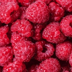 Raspberry bush seeds 25+- count~organic~locally harvested~healthy fruit