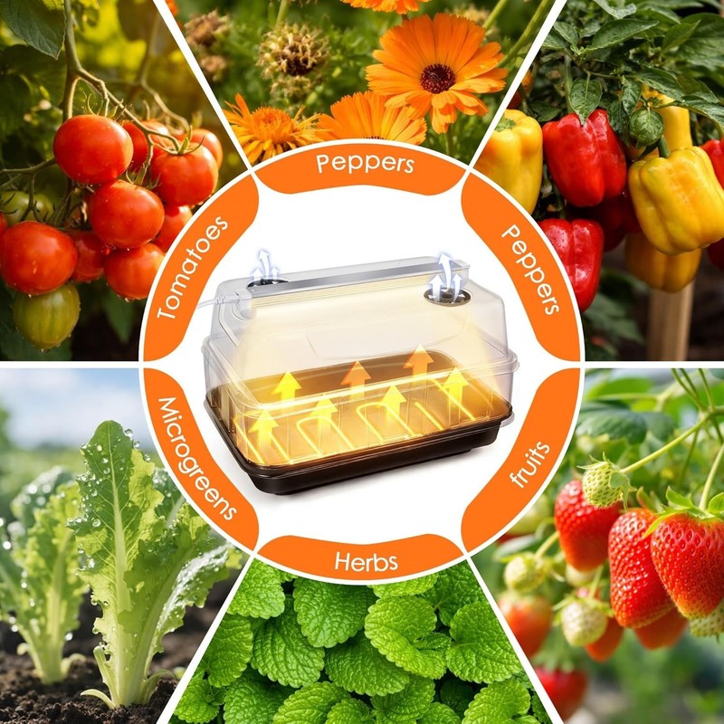Seedling Propagation Kit with Heating Tray Grow Light 15 Inch Adjustable gallery