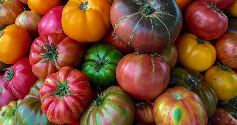Tomato Mix HEIRLOOM Open Pollinated Bright Flavorful Colorful Non-GMO 100 Seeds! gallery
