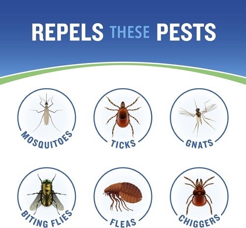 Cutter Skinsations Insect Repellent 7% DEET 4 Pack 6 fl oz Pump Spray gallery