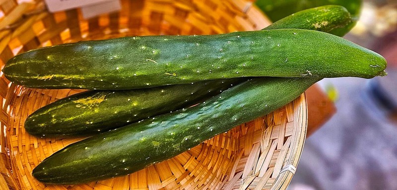 China Jade Burpless Cucumber Seeds - For 2026 Planting Delicious Long Dark Green gallery