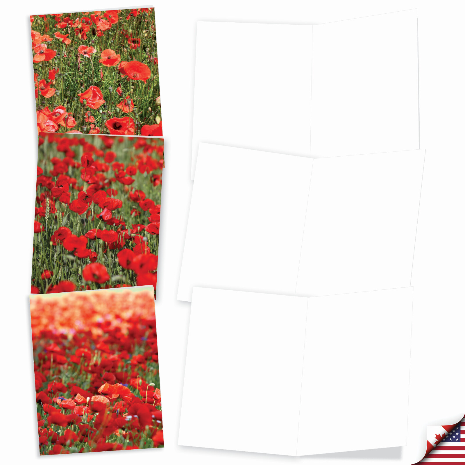 10 Assorted All Occasion Blank Note Cards with Envelopes - POPPY LOVE M2019 gallery