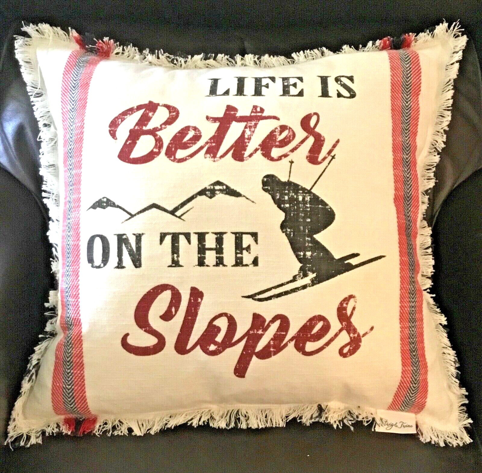Sking Throw Pillow “Life is Better On The Slopes” 100% Cotton Winter Snow Decor gallery
