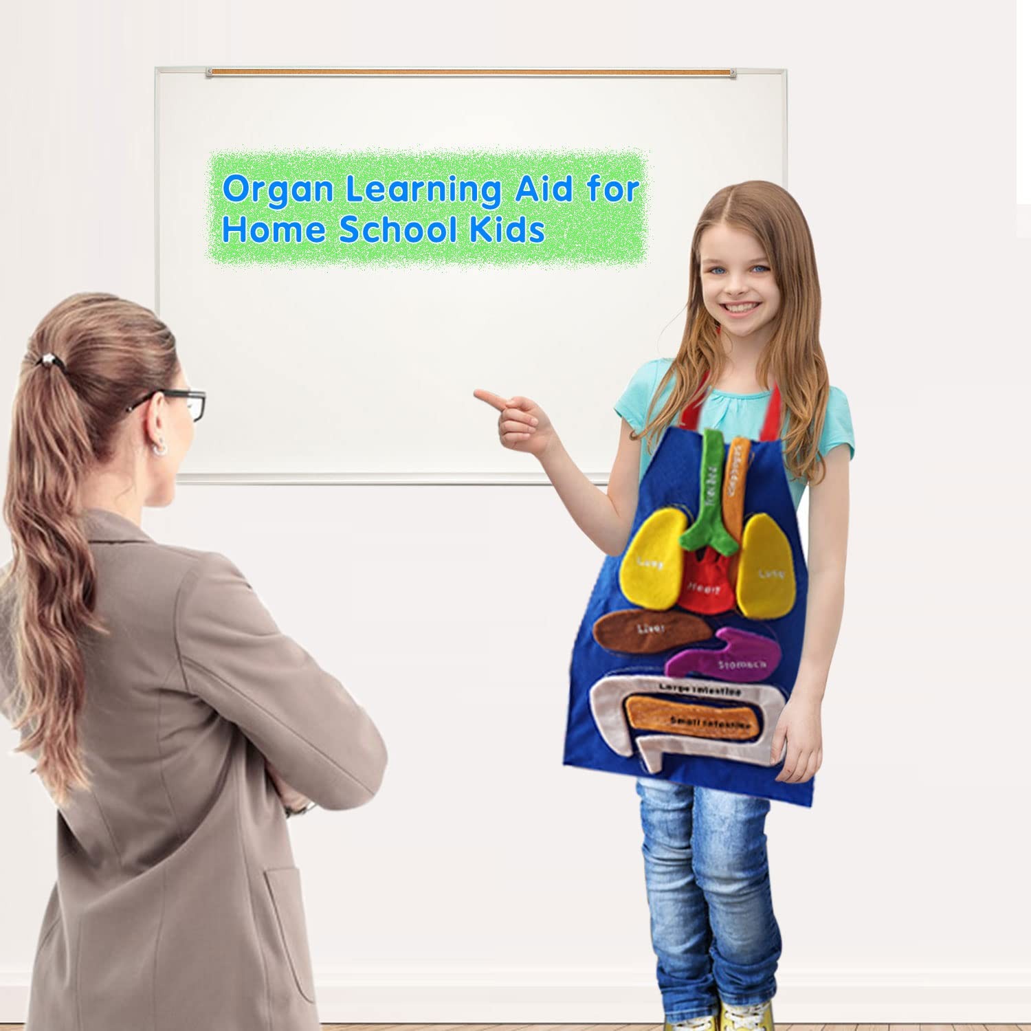 BOCZIF 3D Organ Apron, Human Body Organs Apron Awareness Educational Tool... gallery