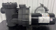Speck Swimming Pool & Spa Pump Model PS350SSP, 3HP, 1PH, 208/230V, ASB818