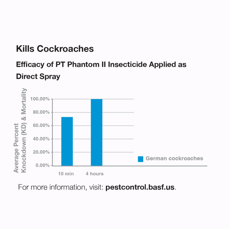 BASF PT Phantom II Pressurized Insecticide Bedbugs 14 oz Can gallery