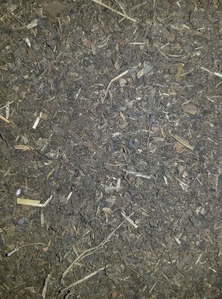 100% Horse Manure Compost, Dried Shredded & Aged and Rain Leached Sun Dried gallery
