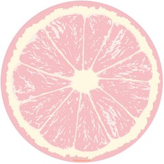 Grapefruit Fruit Slice Citrus Kitchen Wall Decal Retro Decor