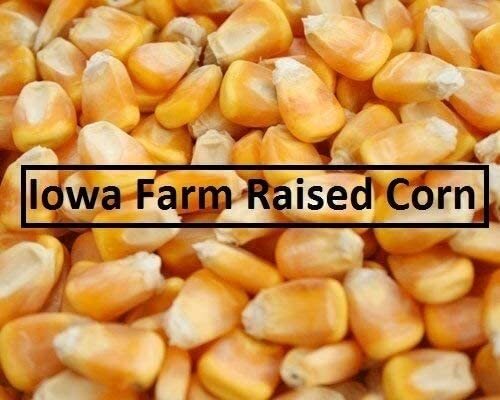 22 pounds Yellow Whole Kernel Corn - Grown, and Shipped from Iowa. Squirrel, Duc gallery