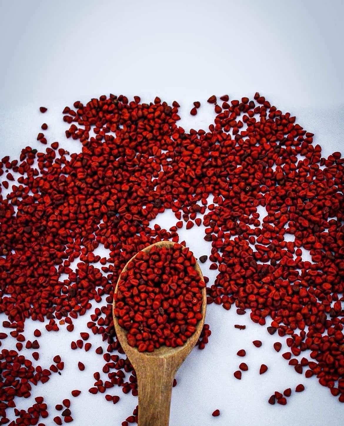 🌺✨ Achiote Seeds – 100 Seeds Per Pack | Annatto Heirloom Seeds | Rare Tropical gallery