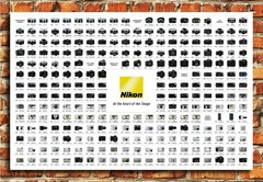 368191 NIKON CHART NIKONter Decor Wall Print Poster