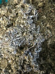 Mullein + Marshmallow + Raspberry Leaf – Healing Organic Herbal Mix – 2 lb Pound
