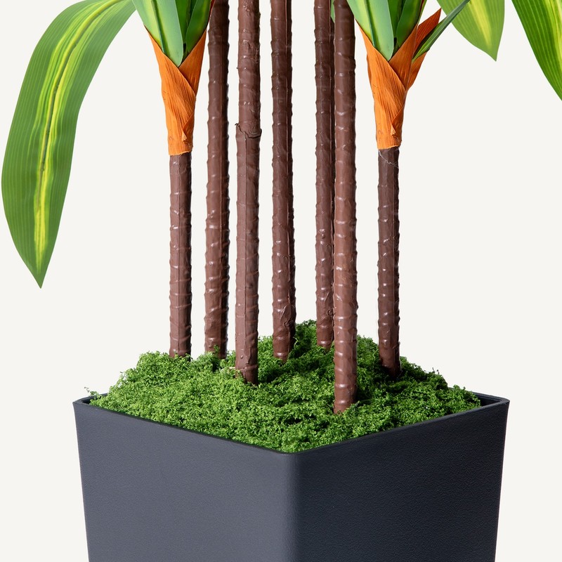 Artificial Dracaena Tree with Lights, 5Ft Fake Plants Black Tall Planter Indoor gallery