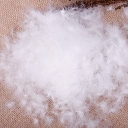 Bulk Goose Down Filling (1/2 lb.) 700 Fill Power - 100% Natural White, No Fea... gallery