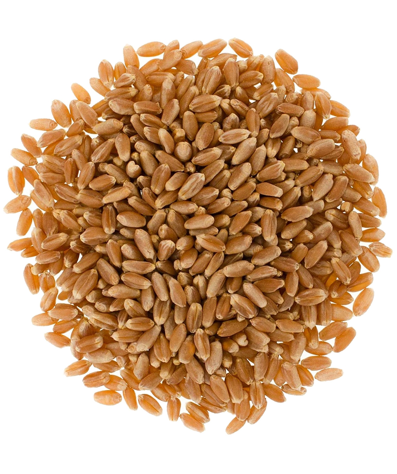 Palouse Brand Bulk Red Spring Wheat Berries, 18 LBS gallery