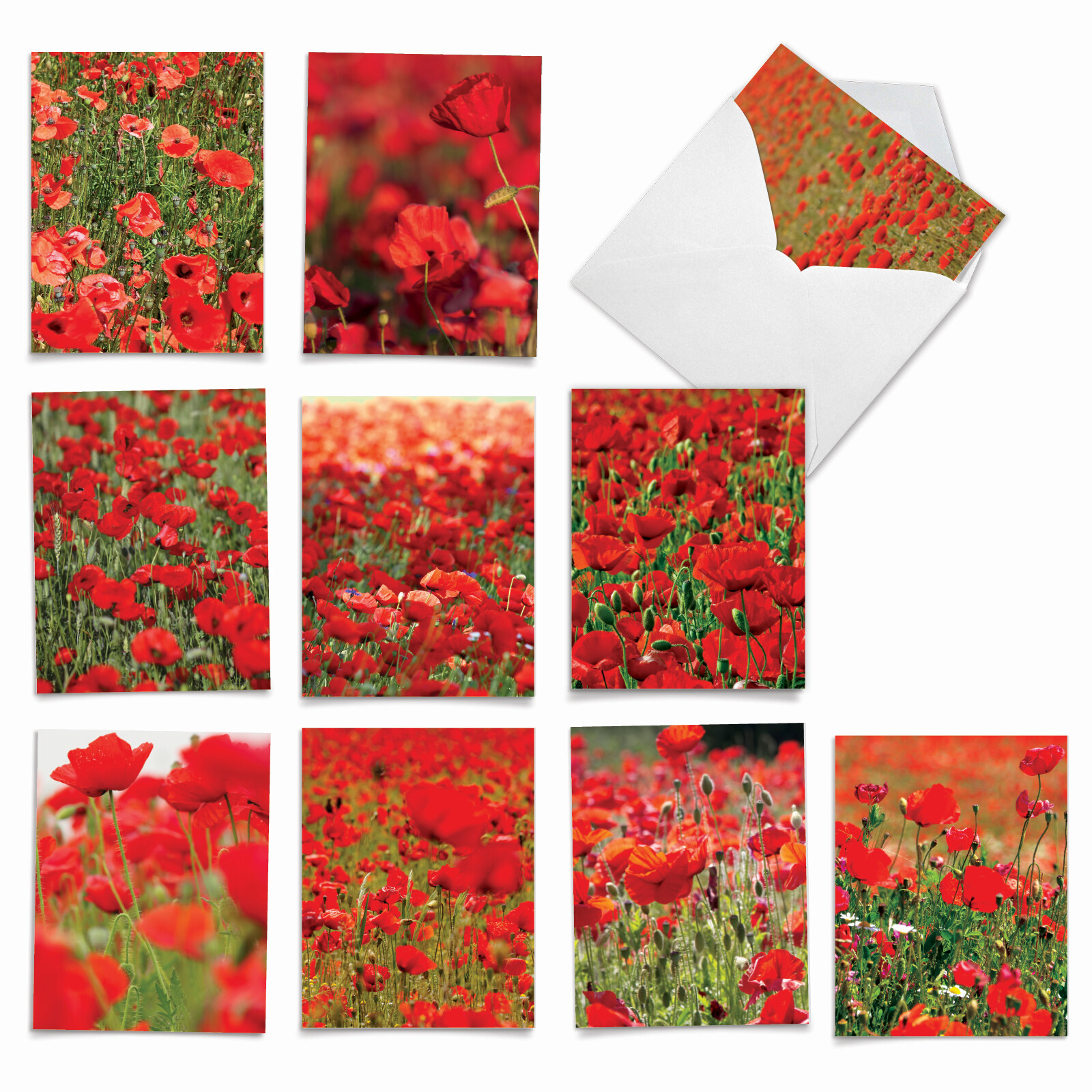 10 Assorted All Occasion Blank Note Cards with Envelopes - POPPY LOVE M2019 gallery