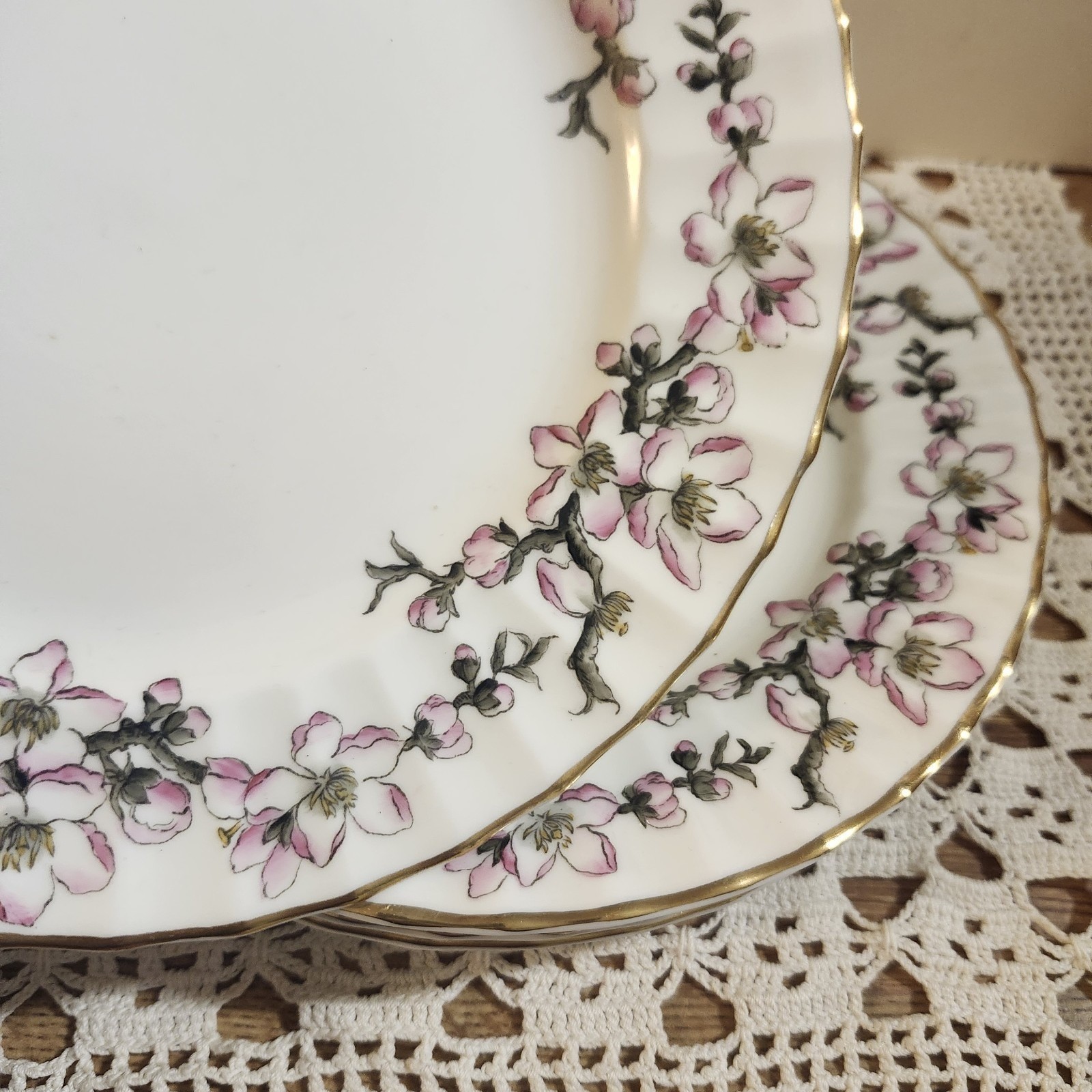 5- Royal Worcester 8" Lunch Plates Pomerina - Rare Print - Pink Floral Vintage gallery