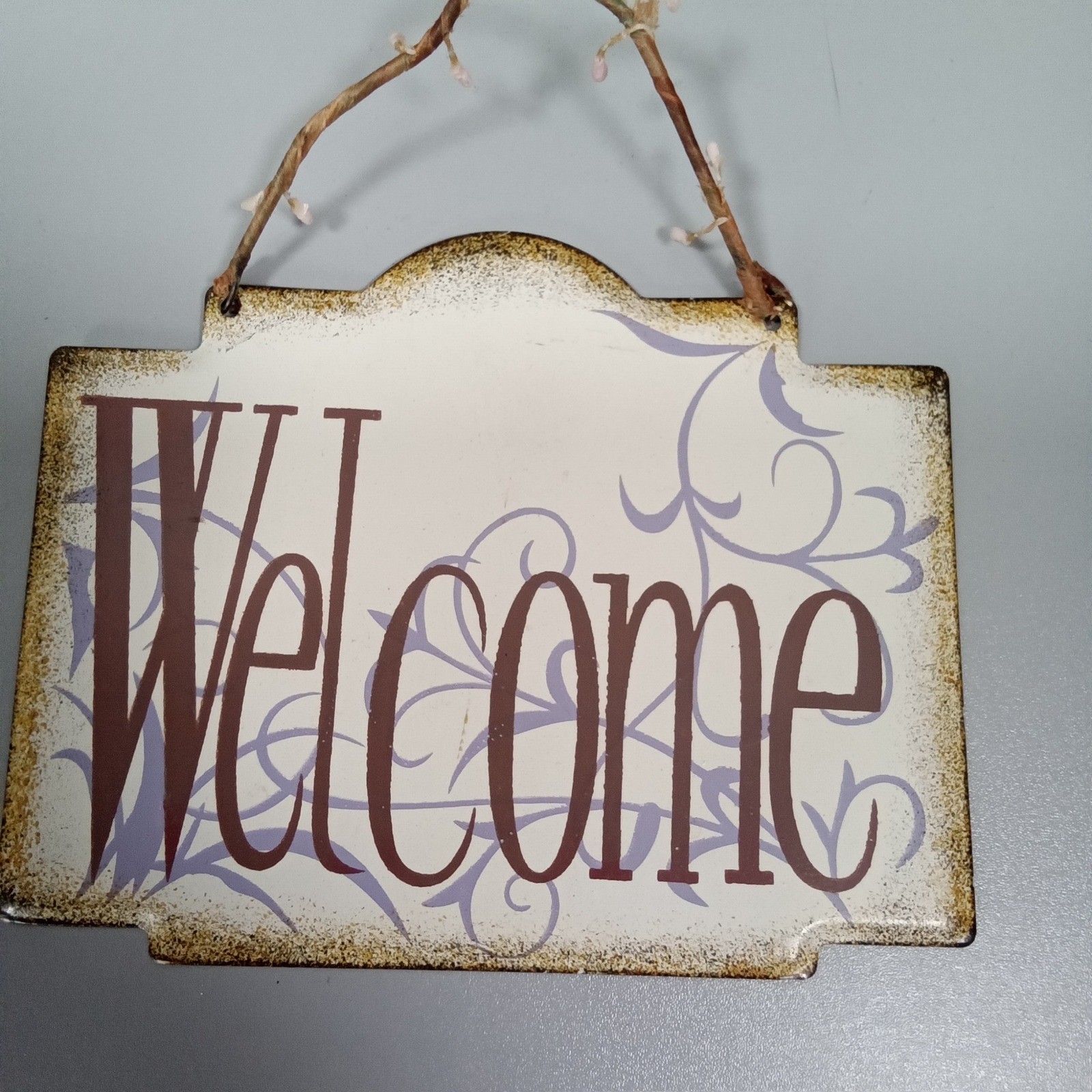 Rustic Metal Welcome Sign Distressed Wall Plaque with Pip Berry Wire Hanger 8x6 gallery