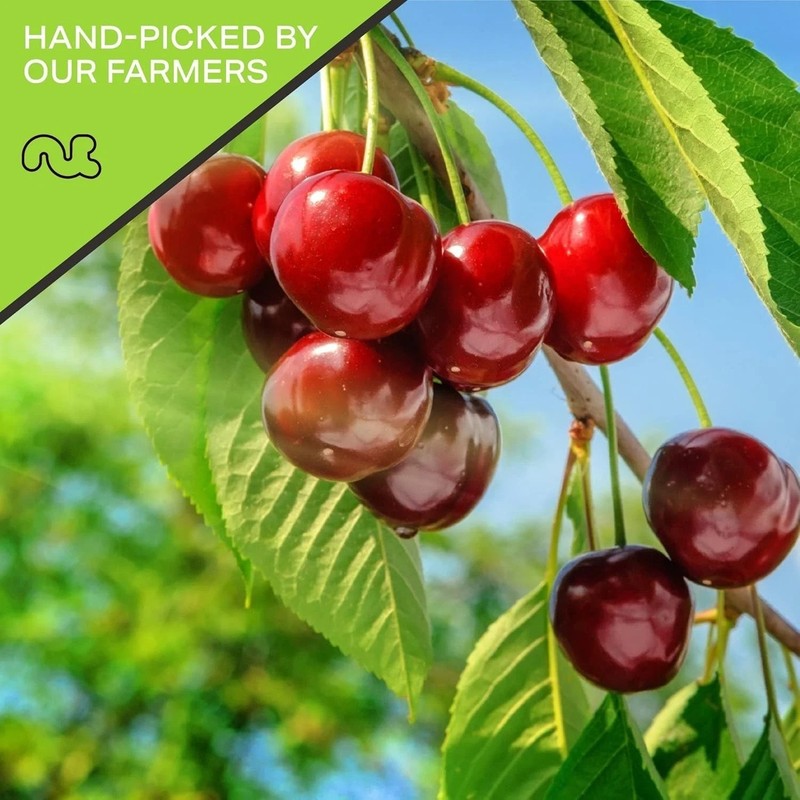 48oz Resealable Dried Cherries - Lightly Sweetened, , Kosher Snack gallery
