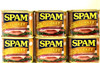 Spam Oven Roasted Turkey Luncheon Meat 12 oz ( Pack of 6 ) gallery