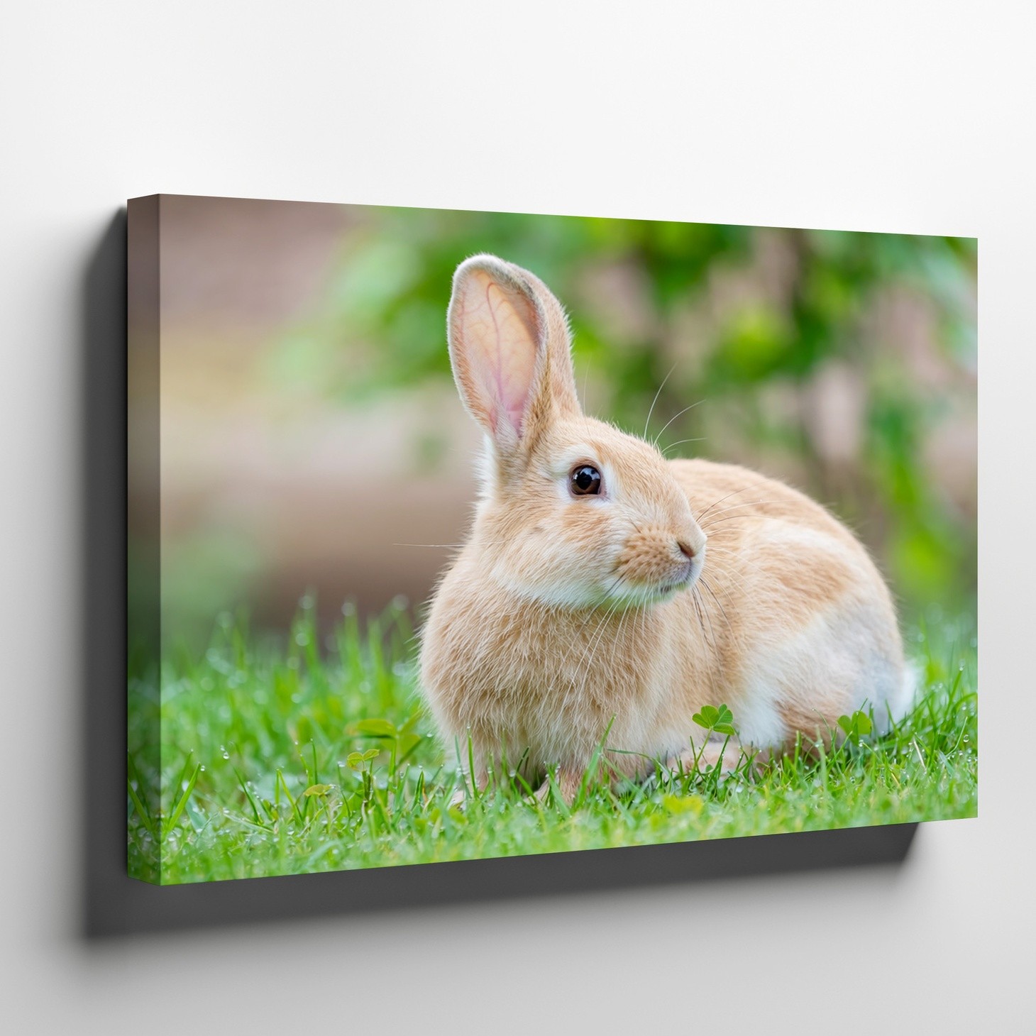 Cute Bunny Rabbit Canvas Wall Art Small Animal Nature Photo Decorative Print gallery