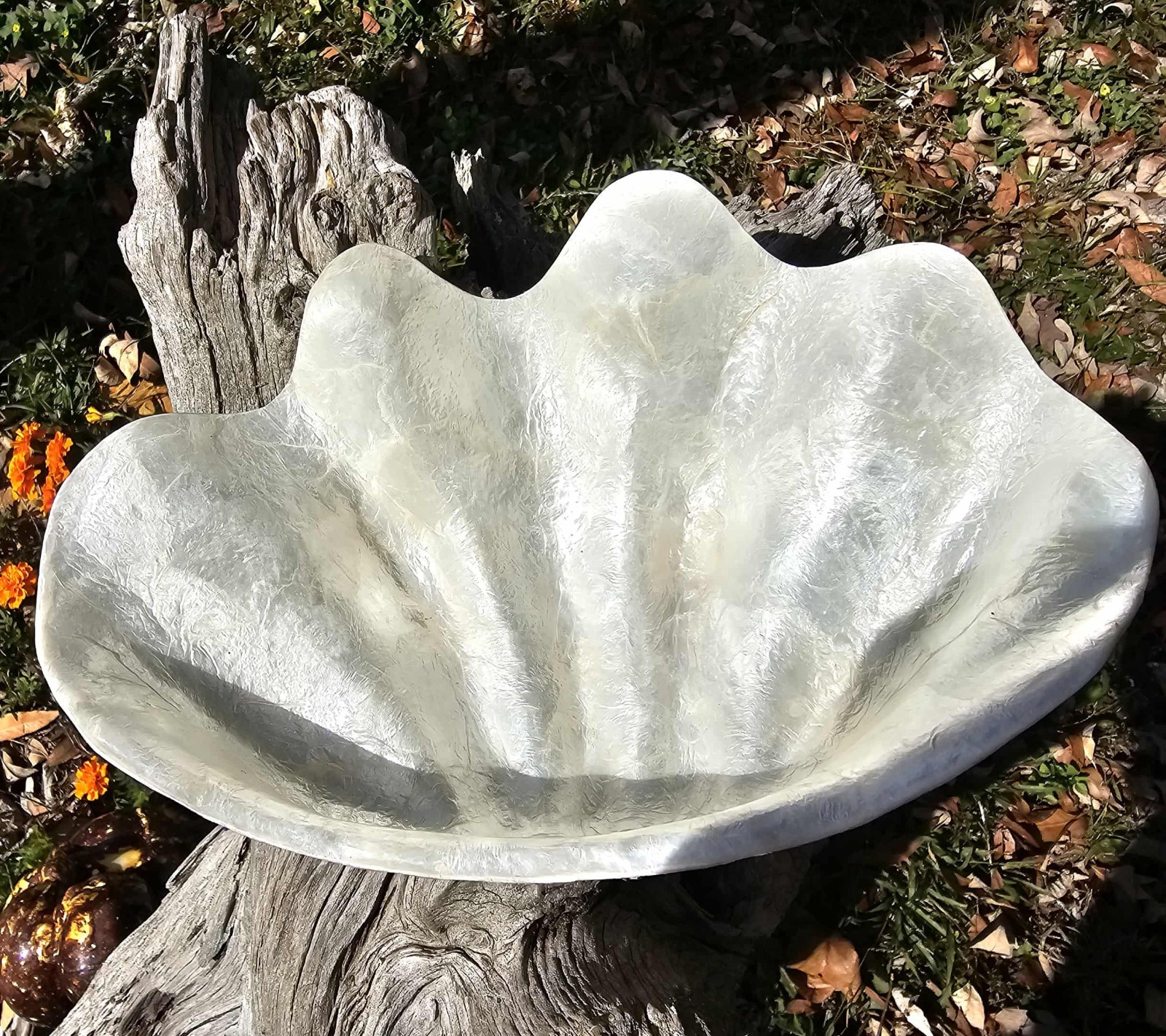 1-CAPIZ SEASHELL Clam Shape Bowl,Wedding Decor,Beach Decor,All Occasion Gifts gallery
