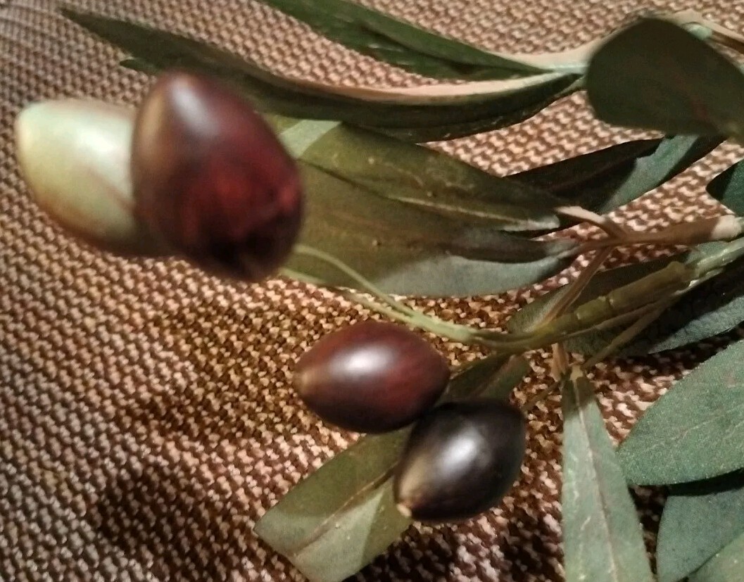 Artificial Olive Branch Stem Approximately 16 In gallery