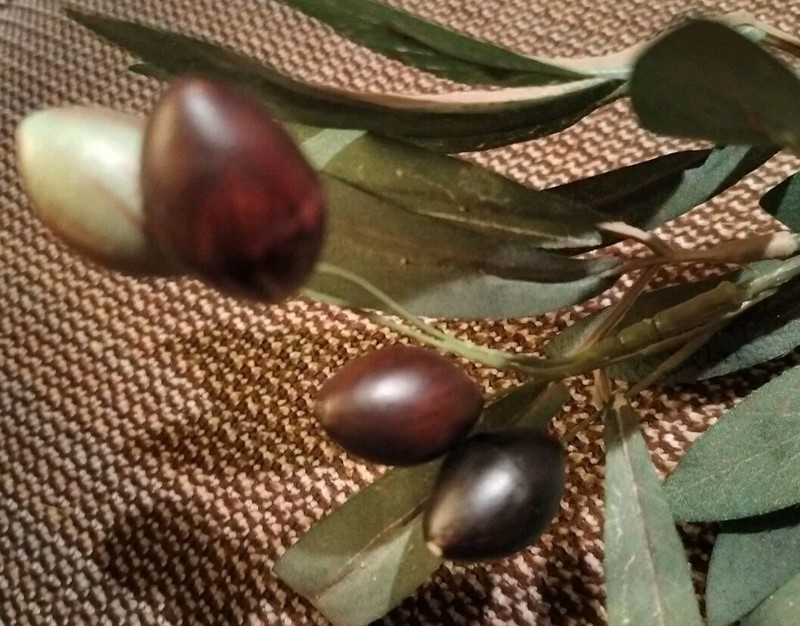 Artificial Olive Branch Stem Approximately 16 In gallery