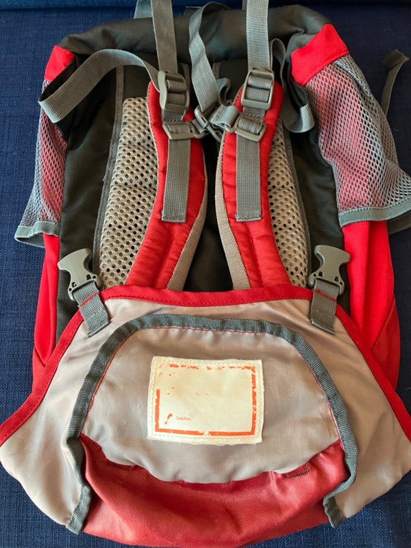 Deuter Junior Backpack Red 3