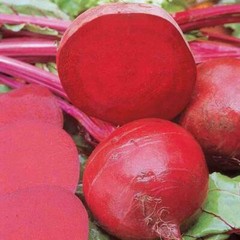 Ruby Queen Beet Seeds 200 Ct Vegetable Garden NON-GMO USA SELLER FREE SHIPPING