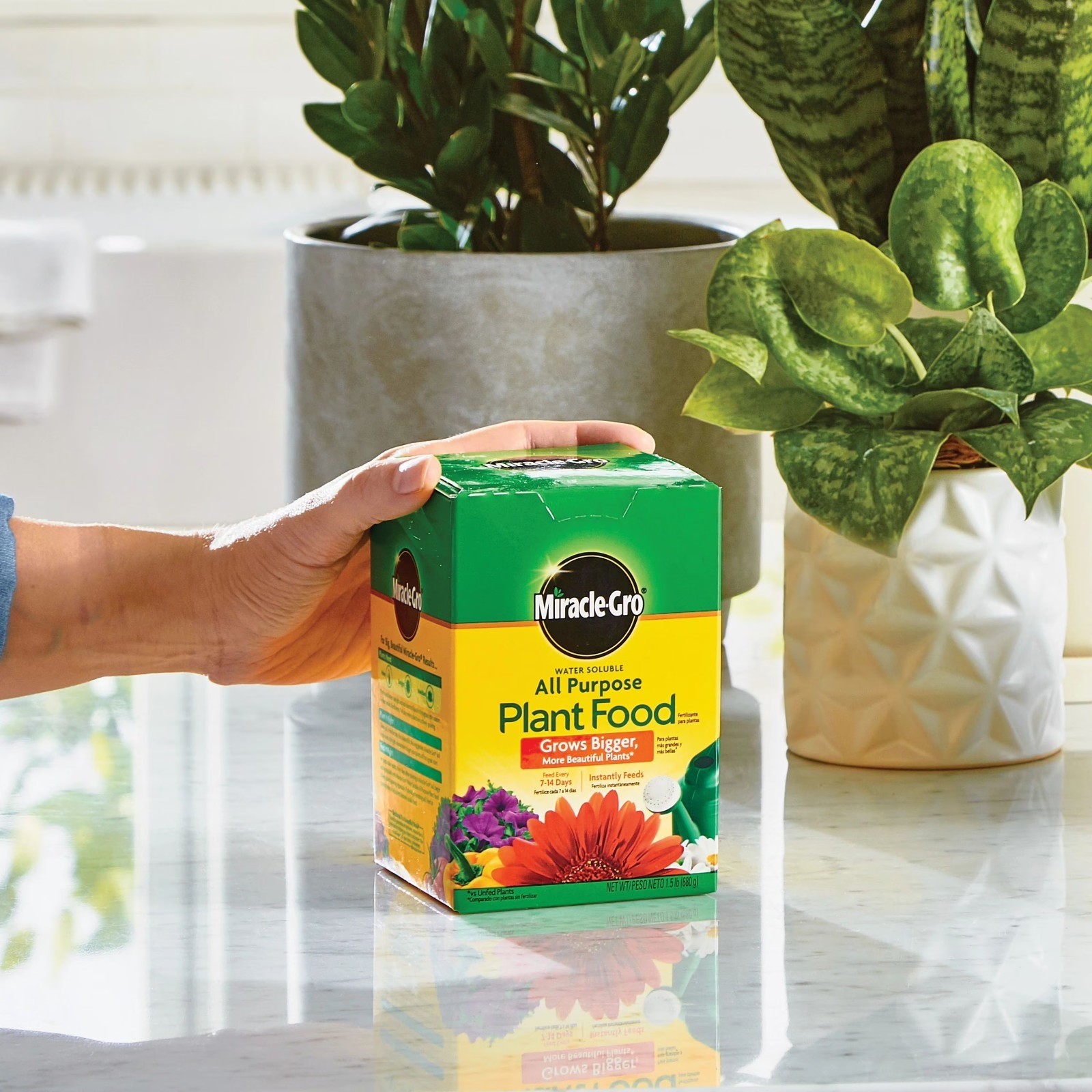 Miracle Gro Water Soluble All Purpose Plant Food for All Indoor or Outdoor Plan gallery