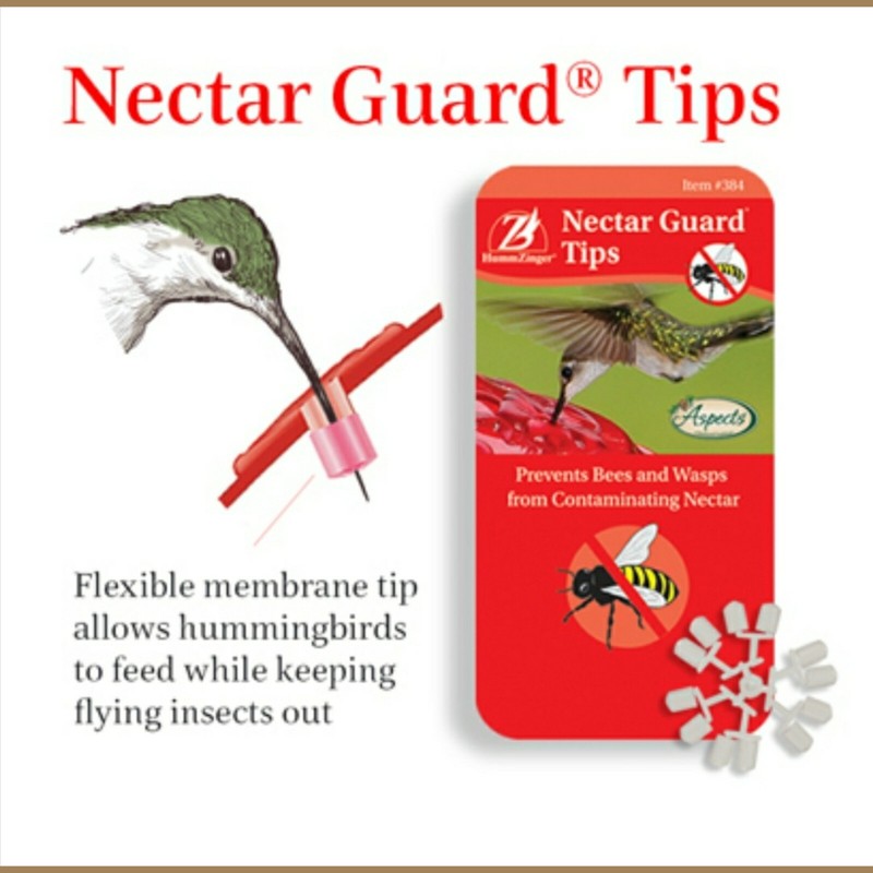 ASPECTS HUMMZINGER NECTAR GUARD TIPS #384 PREVENTS BEES & WASPS gallery