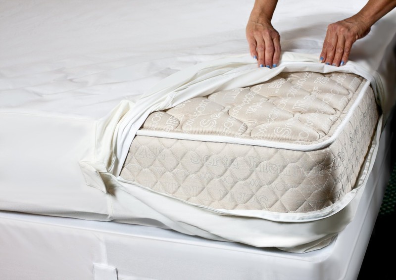 A+ BED BUG PROOF Encasement Protect Soft LUXURY Zipper ALL MATTRESSES or Pillow gallery