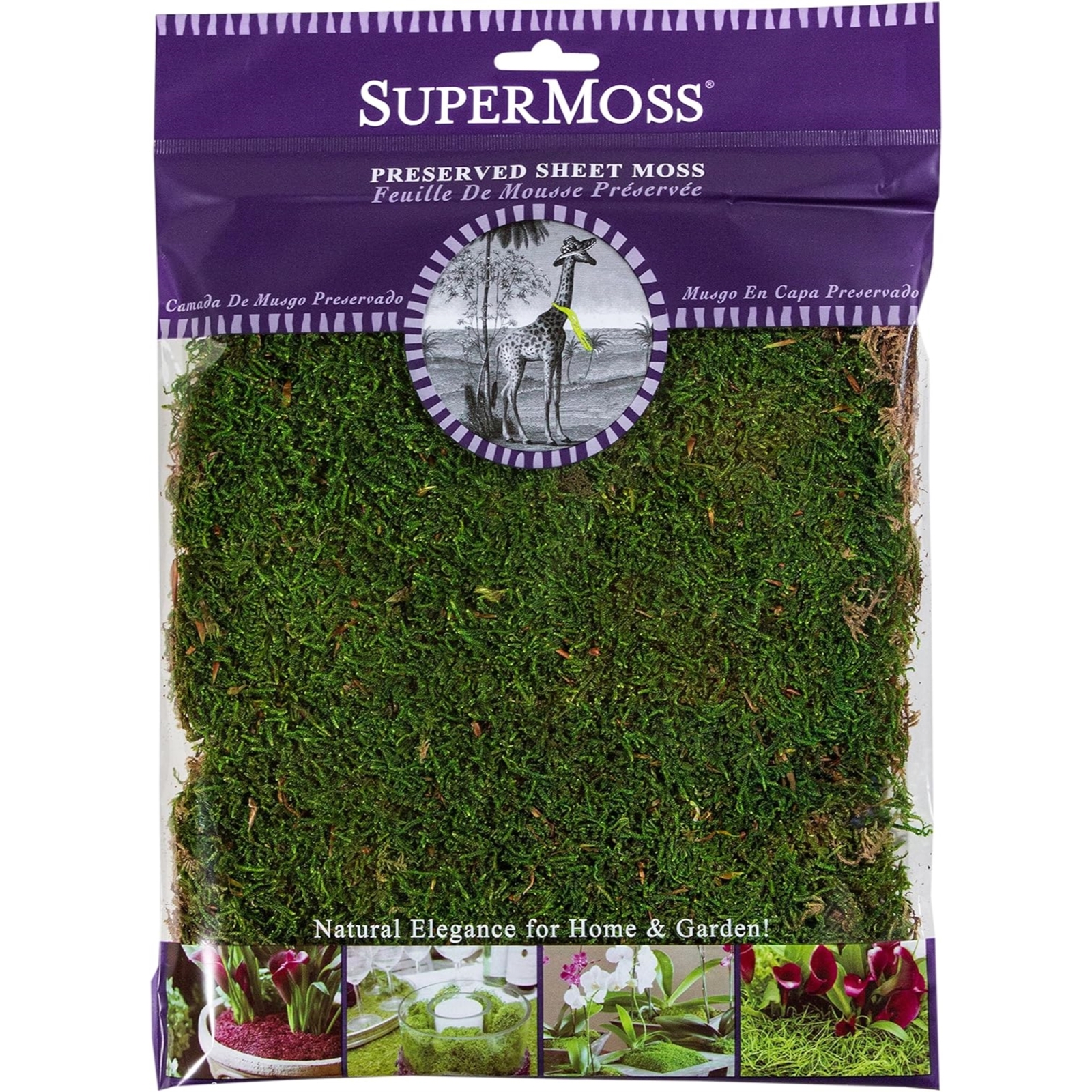 SuperMoss Preserved Sheet Moss, Fresh Green, 1oz gallery